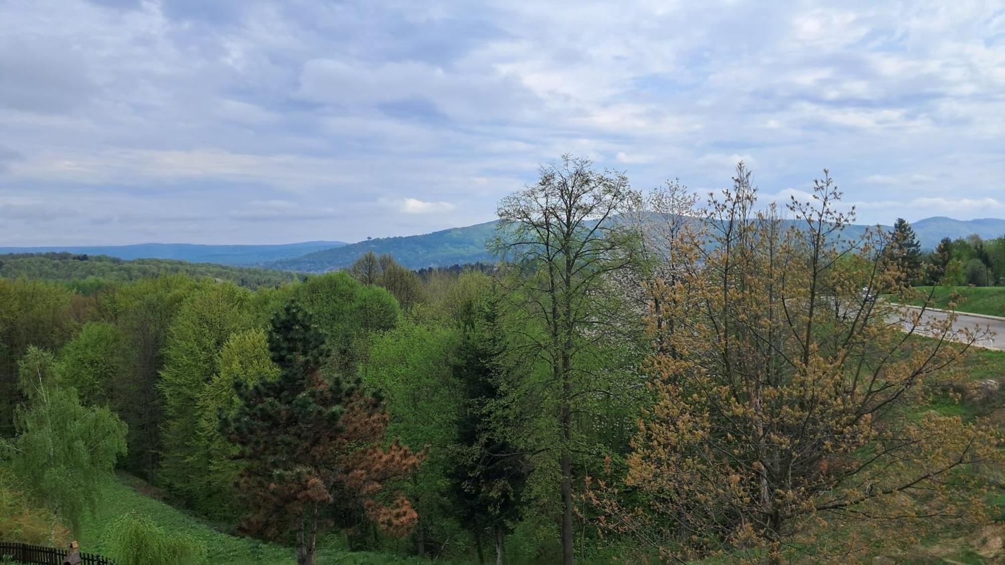 Appartamento Lisc Klonu Polańczyk Esterno foto